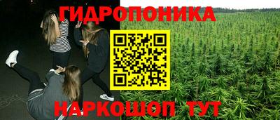 не бодяженный Тара